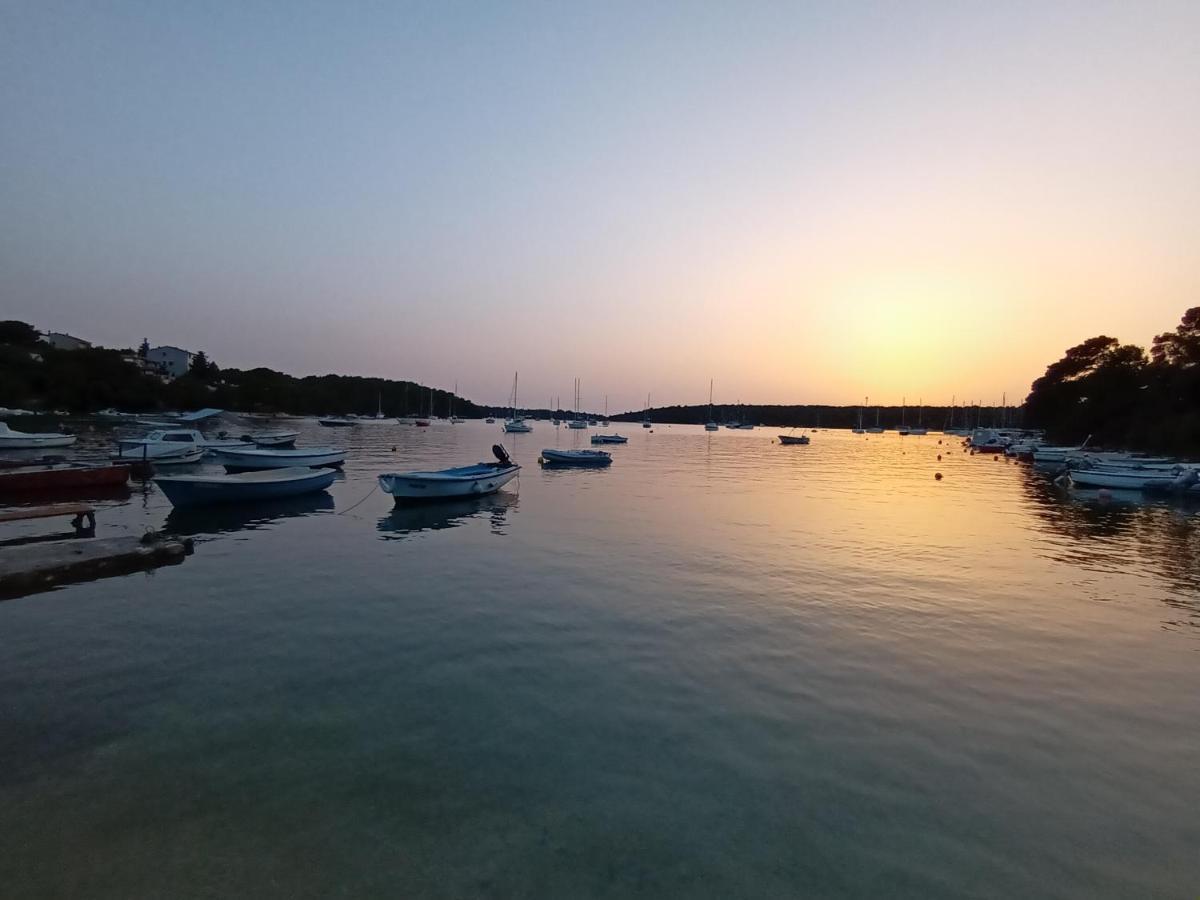Sunset View Apartament Vinkuran